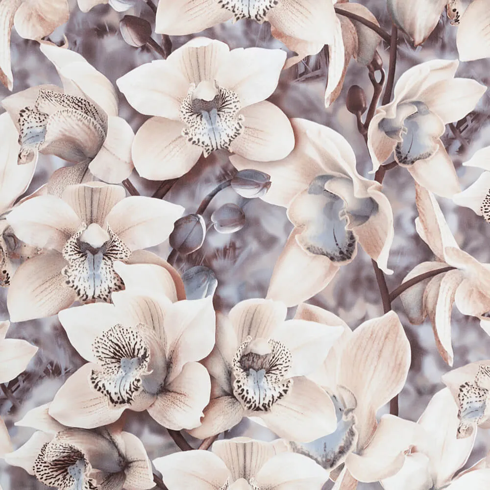 PALITRA – Wallpaper Orchidea 3ds Max