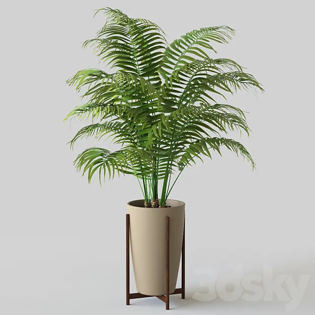 Palm in pot 3ds Max