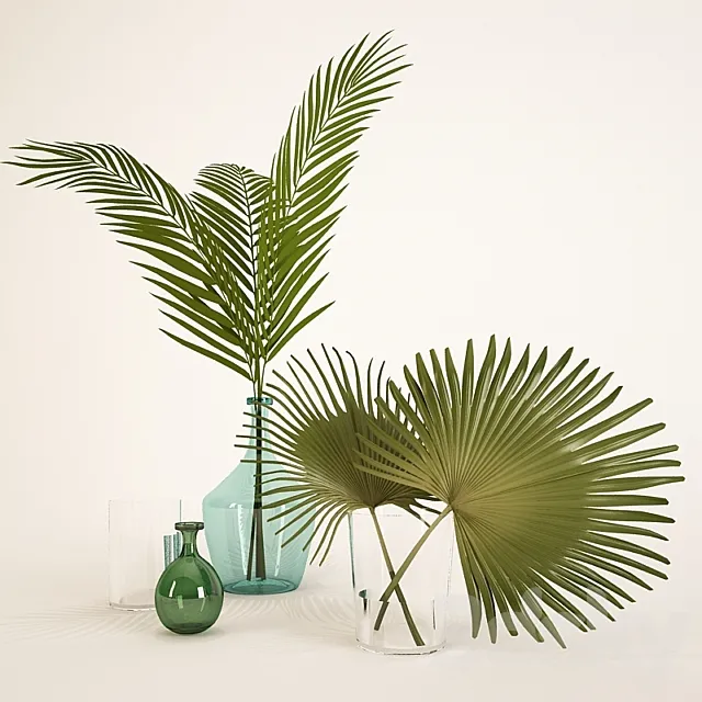 palm leaves in a vase 3DSMax File