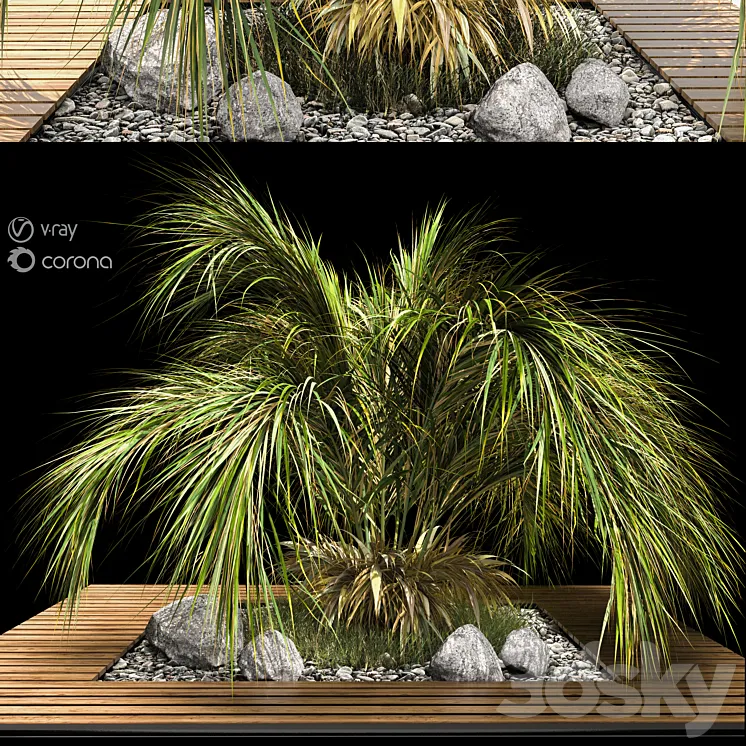 palm tree 3DS Max Model