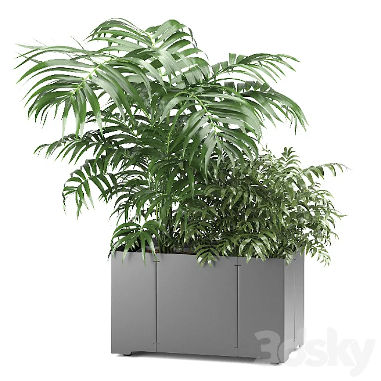 Palm tree in a pot 02 (CAPE Collection) 3DS Max