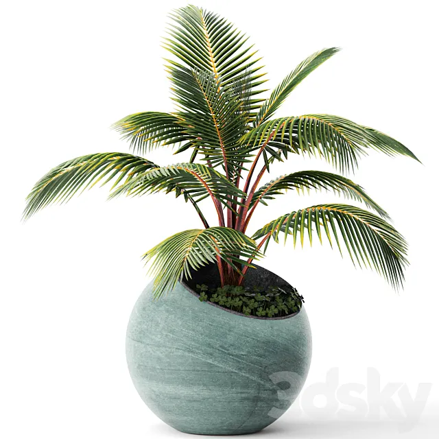 Palm tree small coconut tree round pot flowerpot outdoor 3ds Max