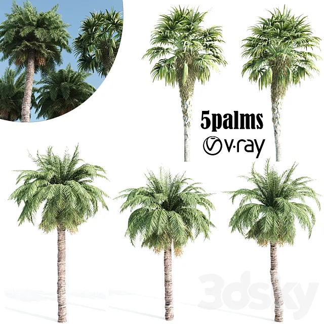 palm tree- vray 3ds Max