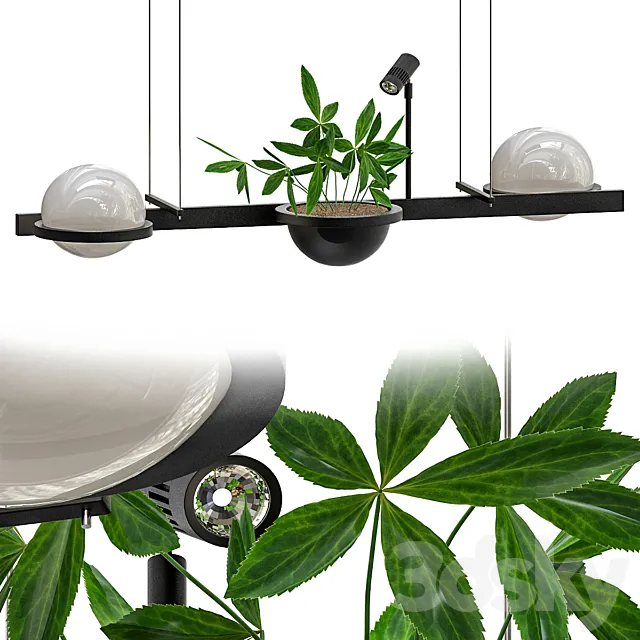 Palma_Vibi 3DS Max Model