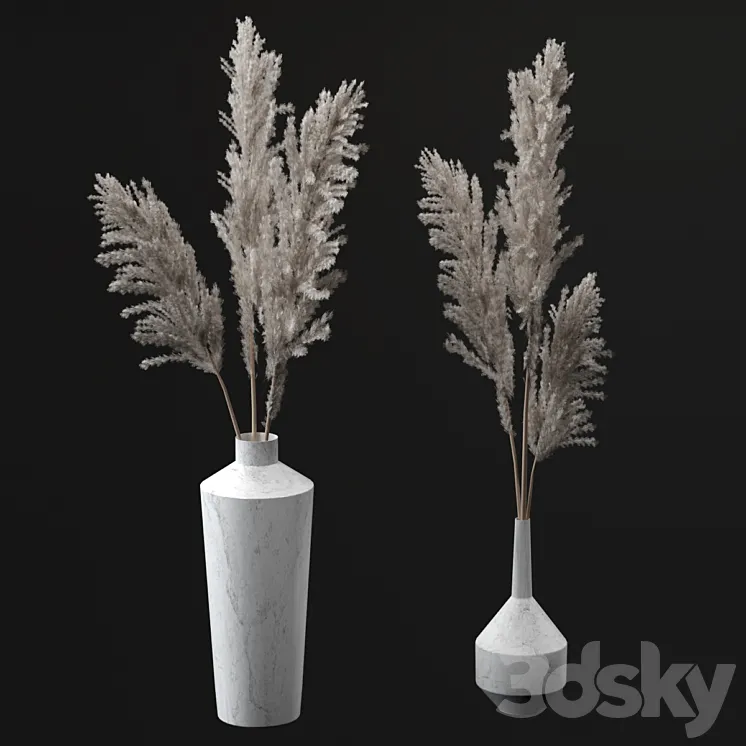 Pampas bouquets 3DS Max