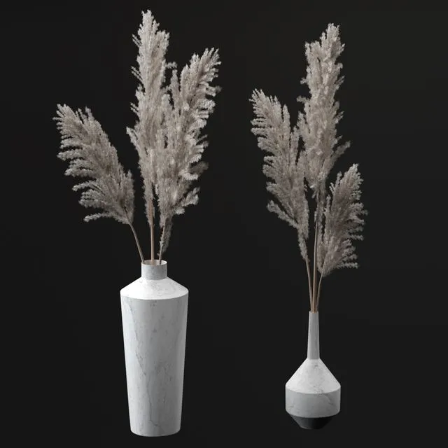 Pampas bouquets 3dsMax Model