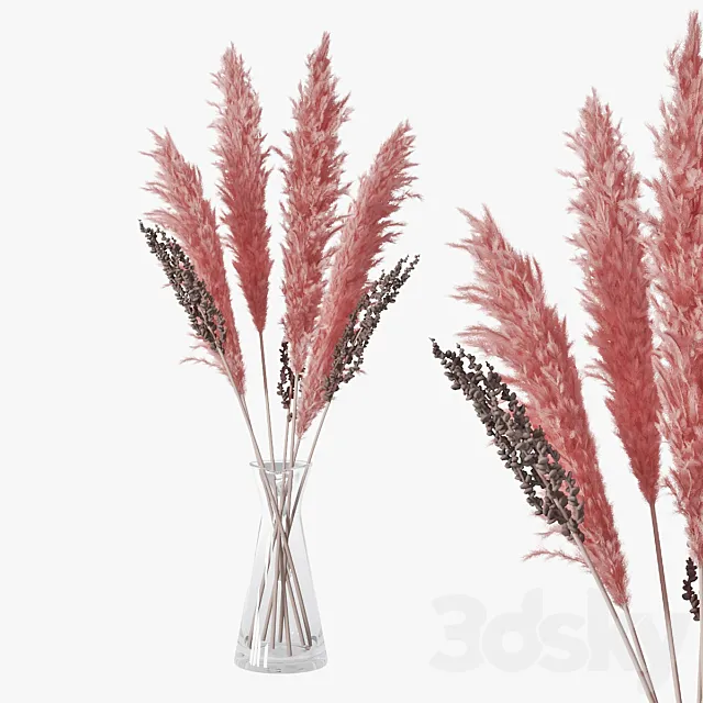 Pampas grass 04 3DSMax File