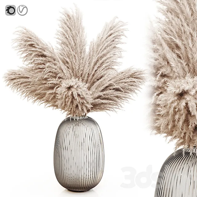 Pampas grass 8 3ds Max