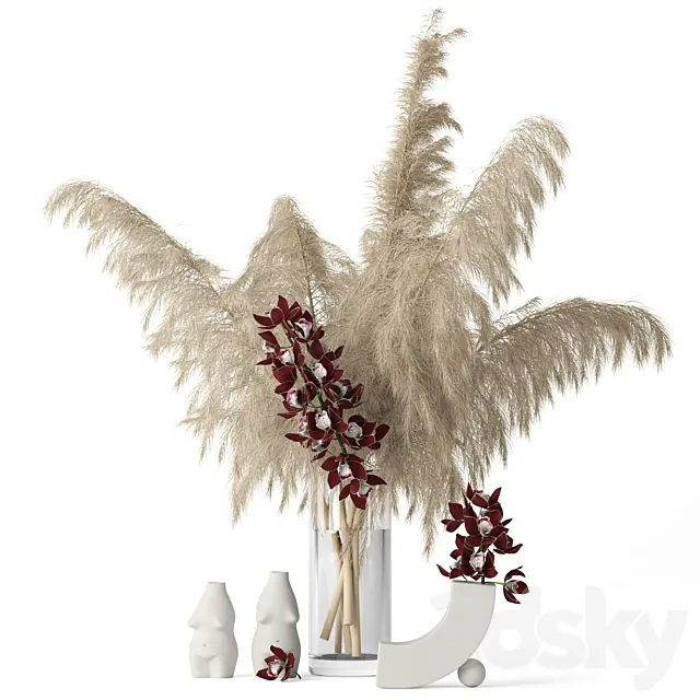 Pampas grass and Cymbidium 3DSMax File