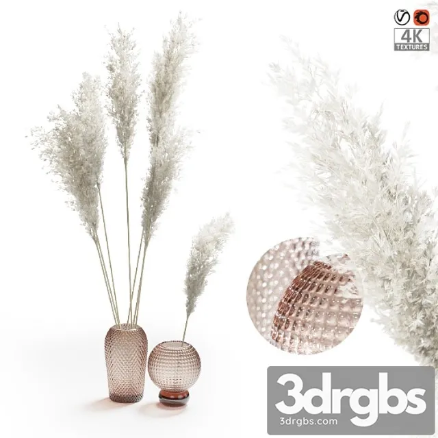 Pampas Grass Bouquet 1 3dsmax Download