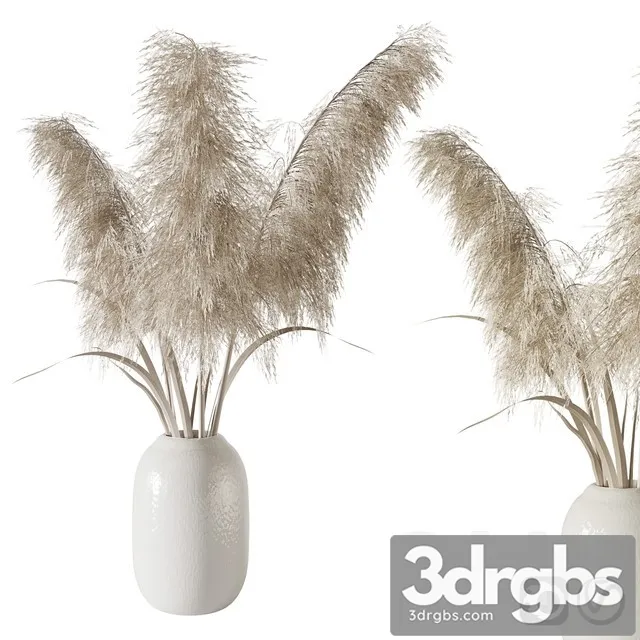 Pampas Grass Bouquet 3dsmax Download