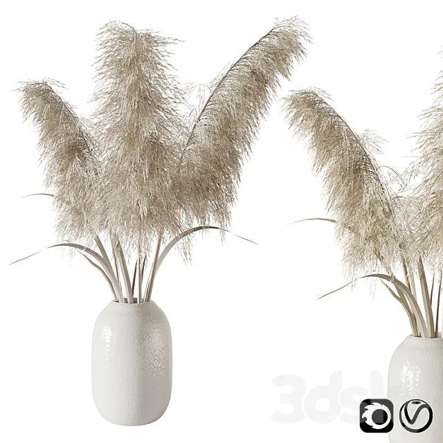 Pampas grass bouquet 3DSMax File