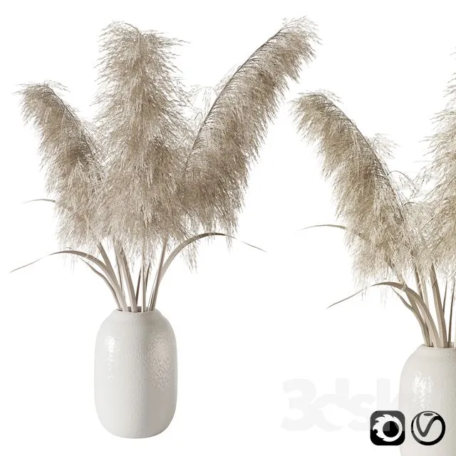 Pampas grass bouquet 3dsMax Model