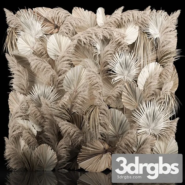 Pampas Grass Dry Palm Branches Cortaderia Leaves And Reeds 274 3dsmax Download