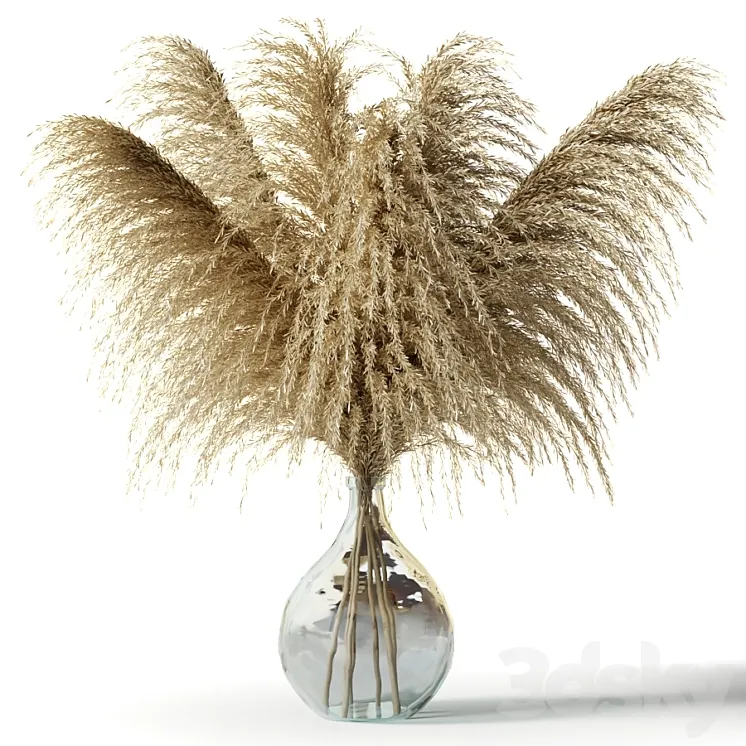 Pampas grass in a glass vase – Sofia Bouquet 3DS Max