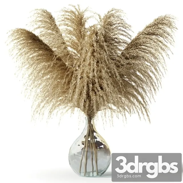 Pampas grass in a glass vase – sofia bouquet