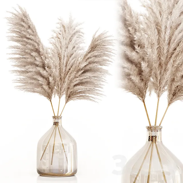 Pampas grass in glass vase 7 3DS Max Model