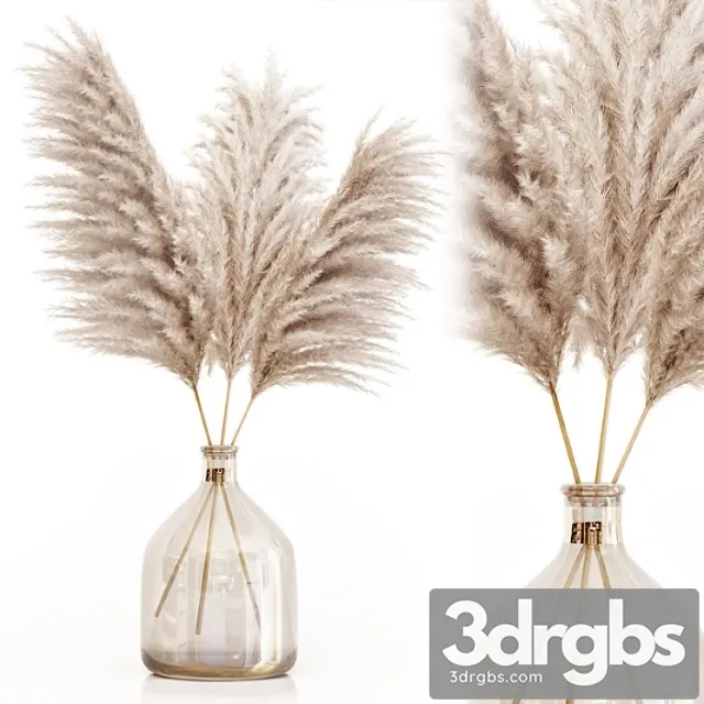 Pampas grass in glass vase 7