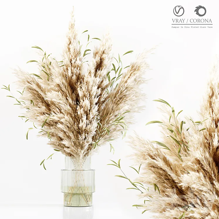 Pampas In Dina Fluted Glass Vase 3DS Max