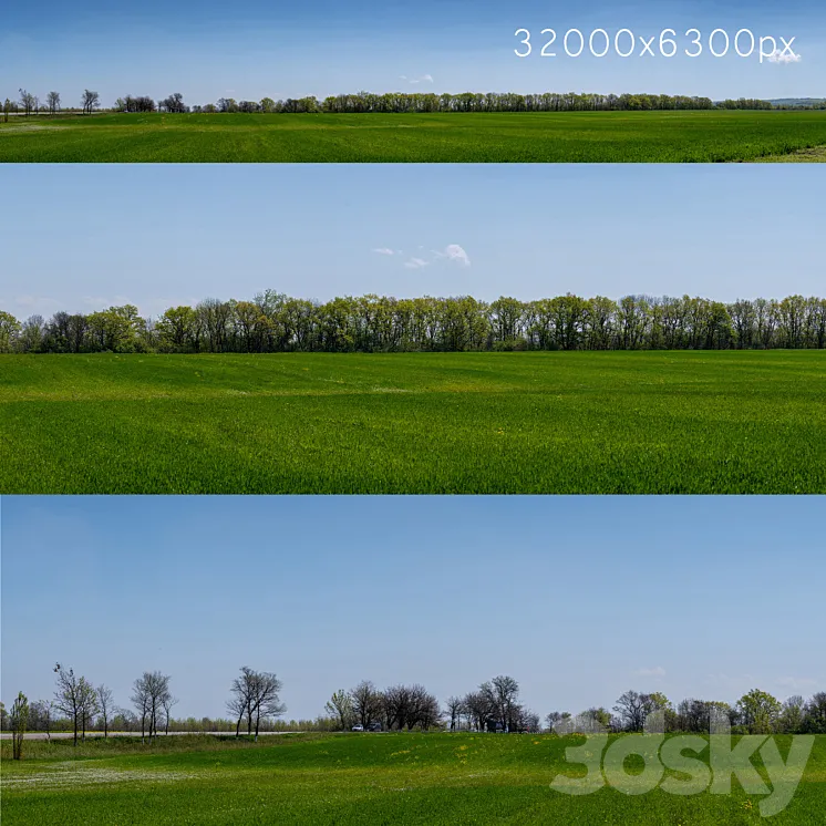 Panorama of a green field with flowers and trees. 32k 3DS Max