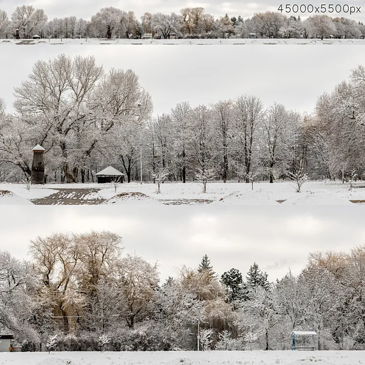 Panorama of the park and snow-covered trees. 45k 3DS Max Model