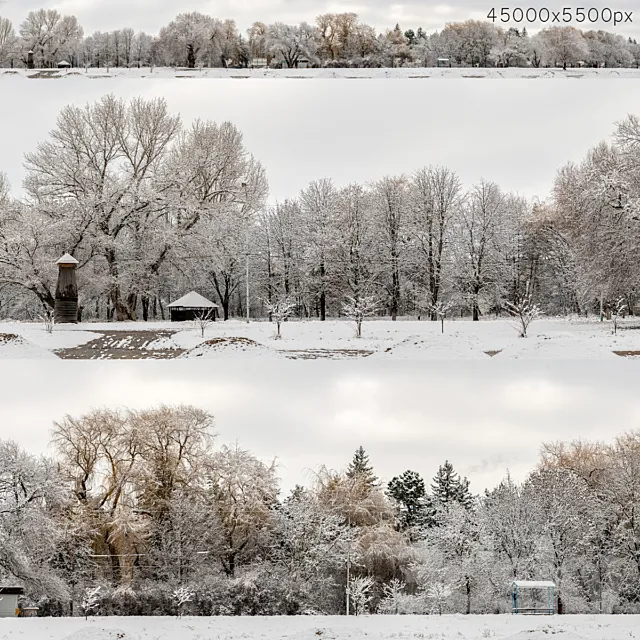 Panorama of the park and snow-covered trees. 45k 3DSMax File