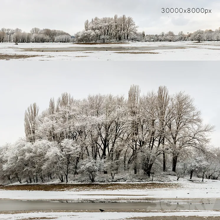 Panorama of the park with a lake and snow-covered trees. 30k 3DS Max