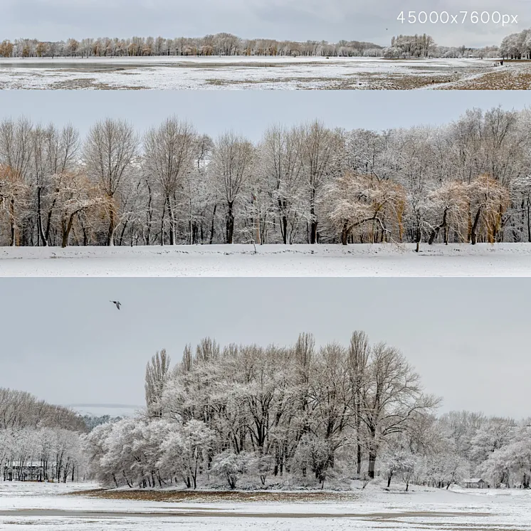 Panorama of the park with a lake and snow-covered trees. 45k 3DS Max