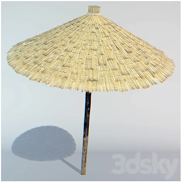 parasol made of straw 3ds Max