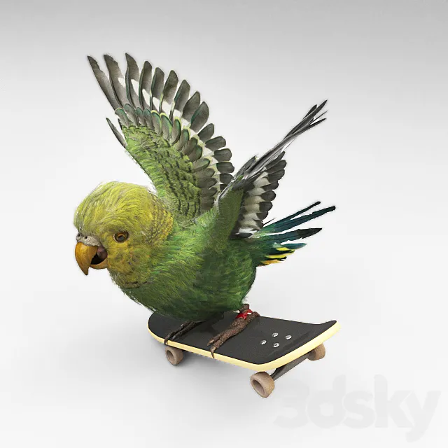 Parrot 3DS Max Model