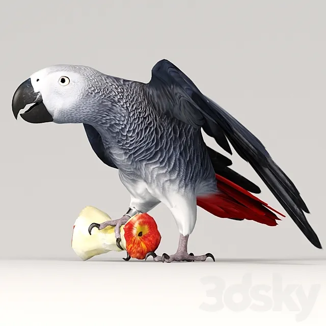 Parrot Jaco 3DS Max Model