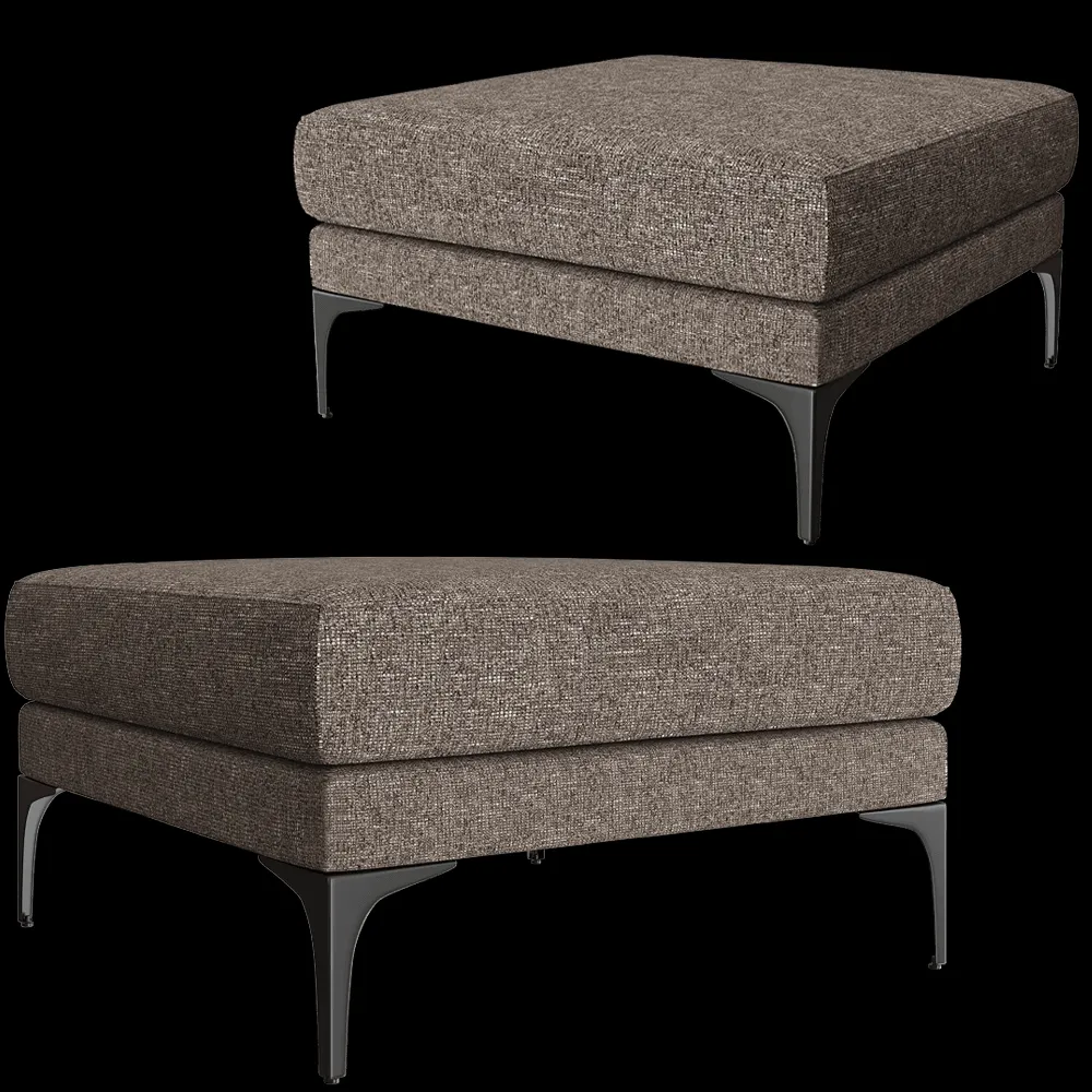 Partisan – Pouf Fisht 3ds Max