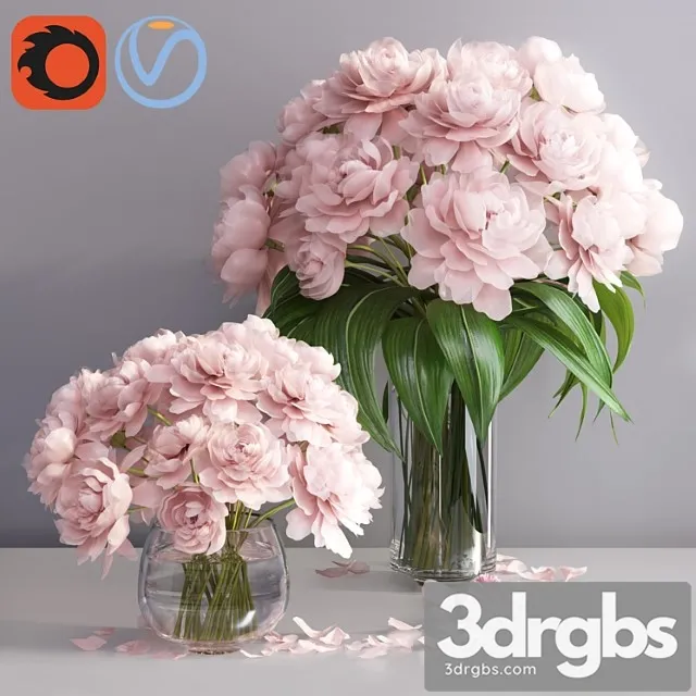 Pastel pink peonies in 2 glass vases set