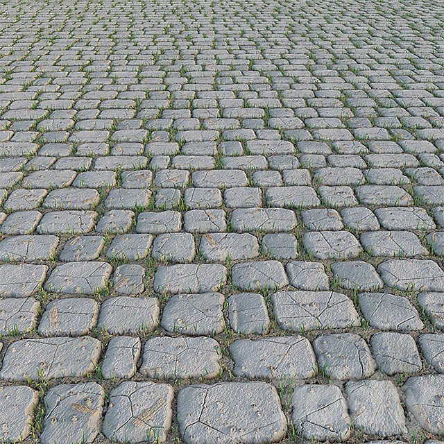 Paving Stone and Grass 3ds Max