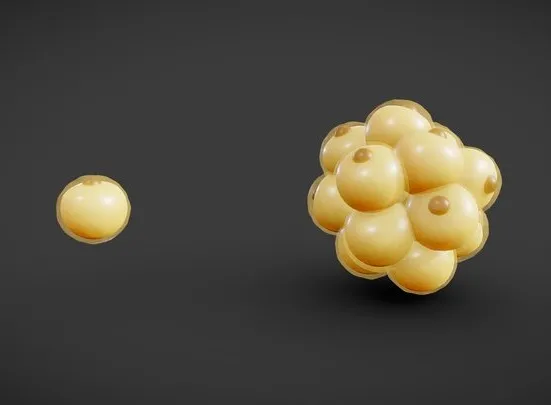 PBR Game 3D Models – Adipocyte Fat Cell Anatomy