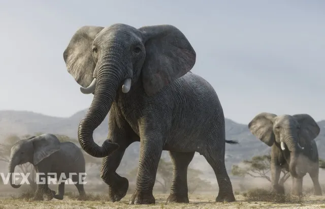 PBR Game 3D Models – African Elephant Animated – VFX Grace