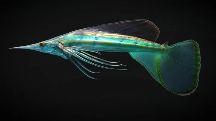 PBR Game 3D Models – Alien Fantasy Fish   Star Darter
