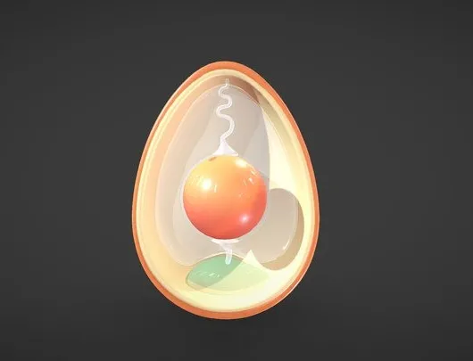 PBR Game 3D Models – Anatomy Of Bird Egg