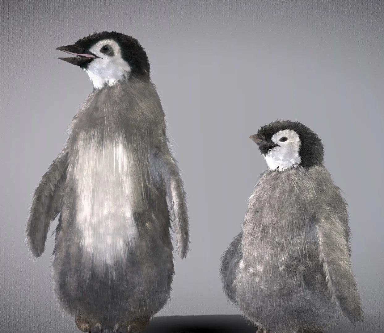 PBR Game 3D Models – Baby Emperor Penguin ( Juvenile )