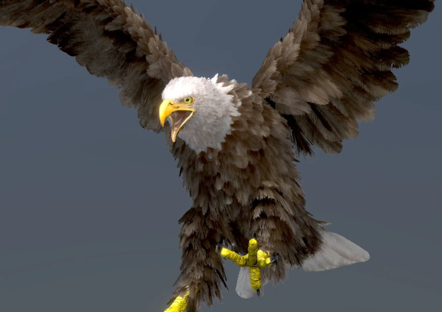 PBR Game 3D Models – Bald Eagle