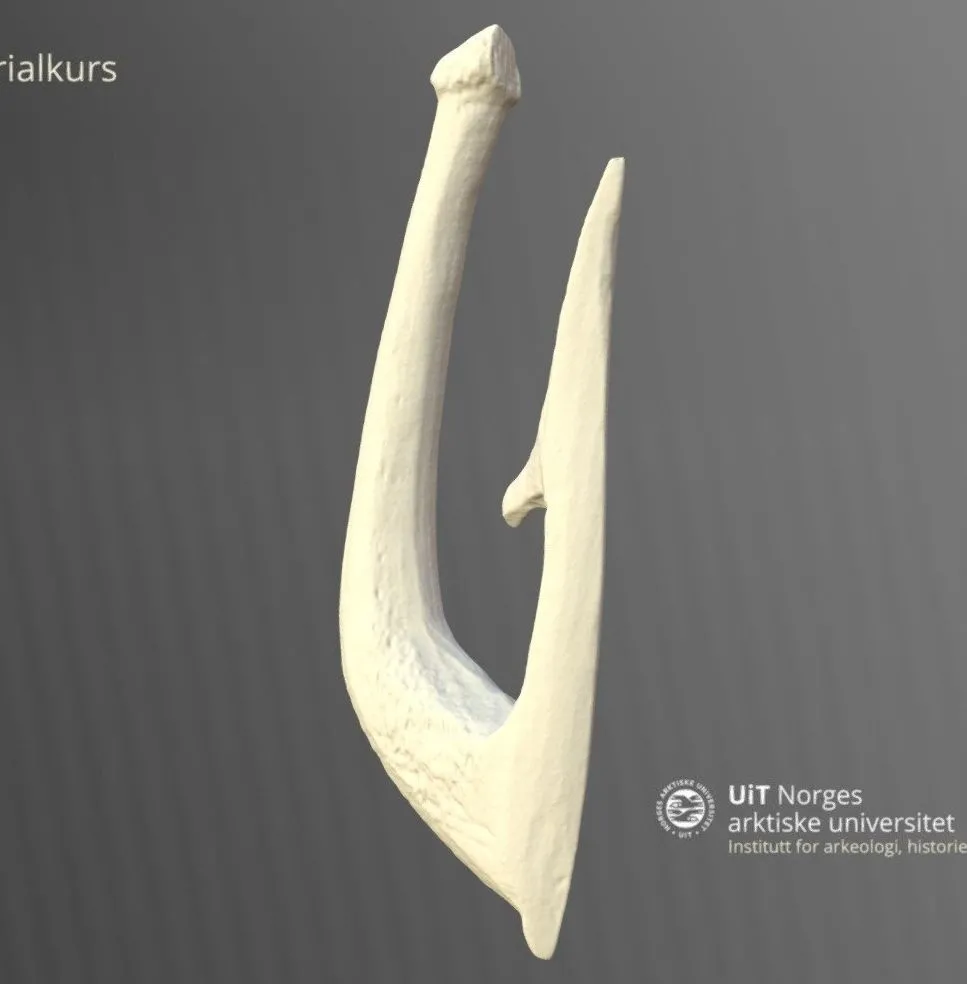 PBR Game 3D Models – Beinangel Ts5526eo