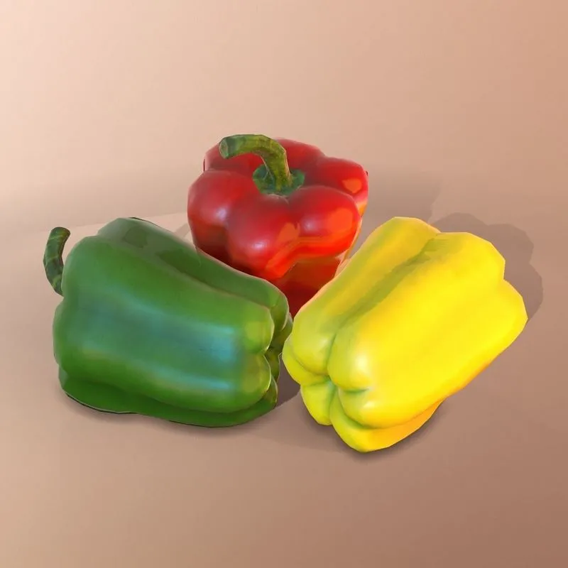 PBR Game 3D Models – Bell pepper