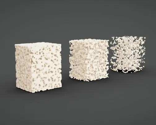 PBR Game 3D Models – Bone Tissue Structure