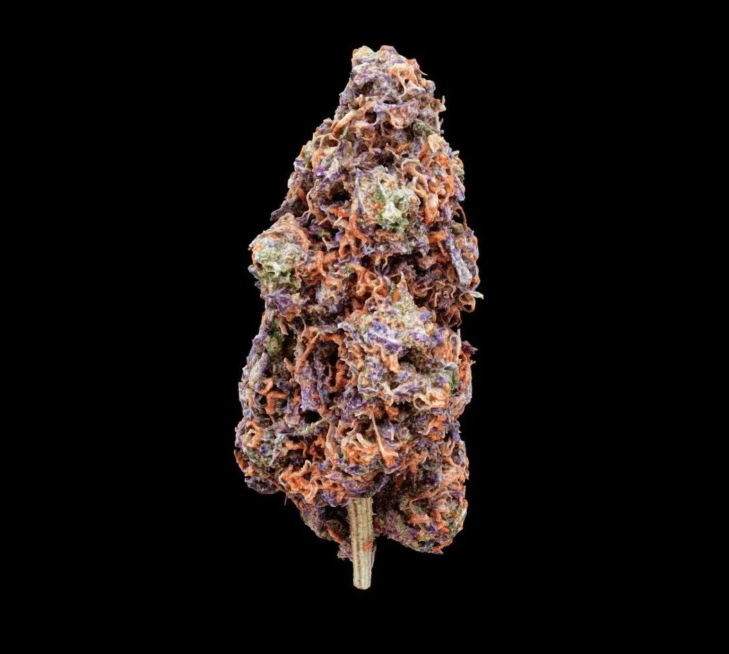 PBR Game 3D Models – Cherry Cookies Cannabis Model