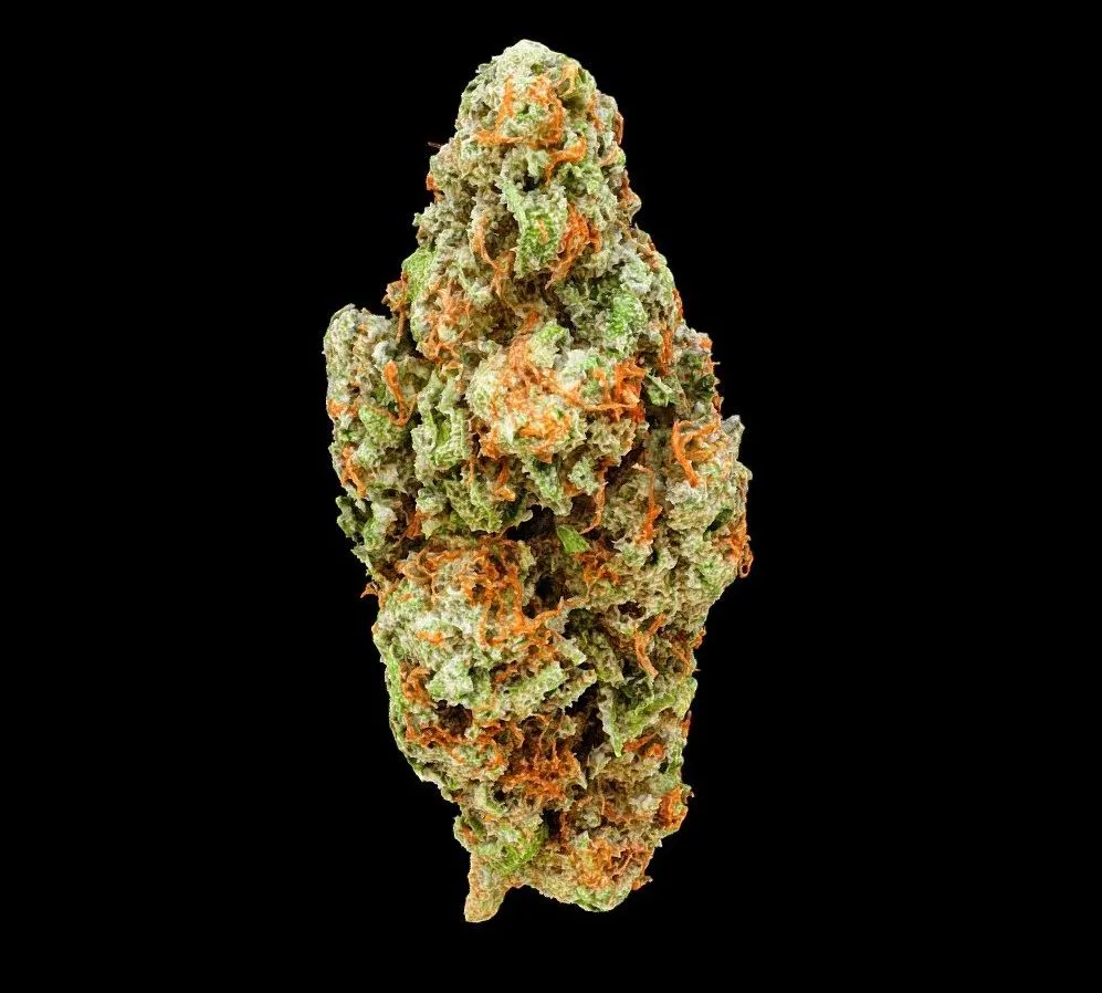 PBR Game 3D Models – Cherry Punch Cannabis Model