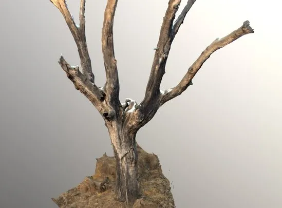 PBR Game 3D Models – Dead Tree