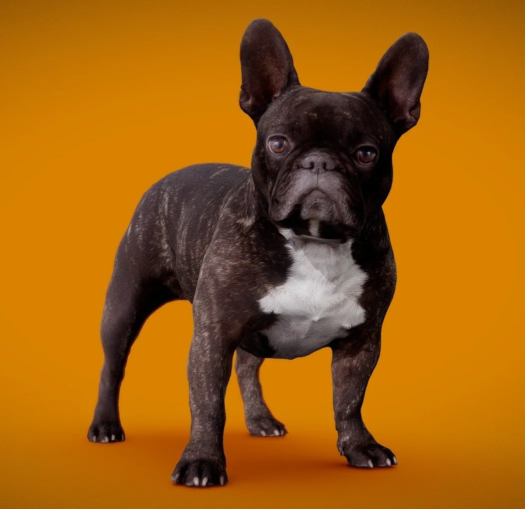 PBR Game 3D Models – Dog B 8Of13