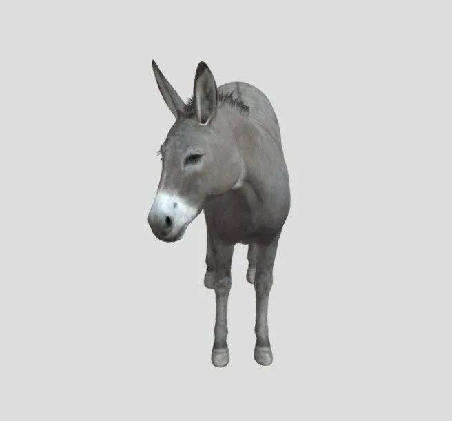 PBR Game 3D Models – Donkey