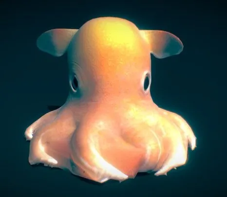 PBR Game 3D Models – Dumbo Octopus
