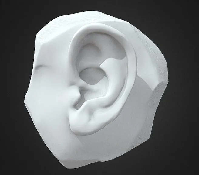 PBR Game 3D Models – Ear Sculpt